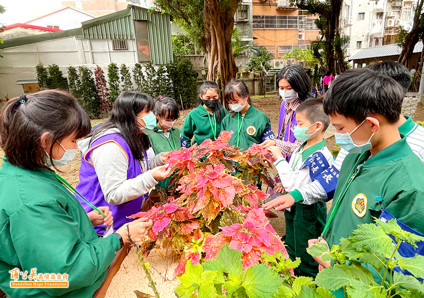 學童在小農星球探險活動中，透過植物的多樣性，了解每個生命都是獨一無二，值得被珍視與愛護。